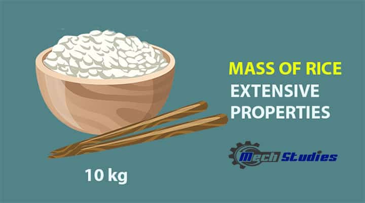 extensive properties mass basics