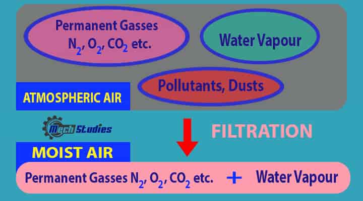 moist air components