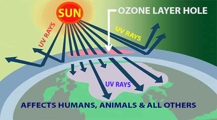 Ozone depletion potential effects 