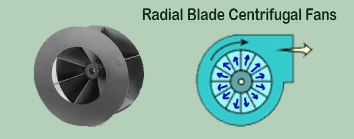 Radial blade centrifugal fan blower