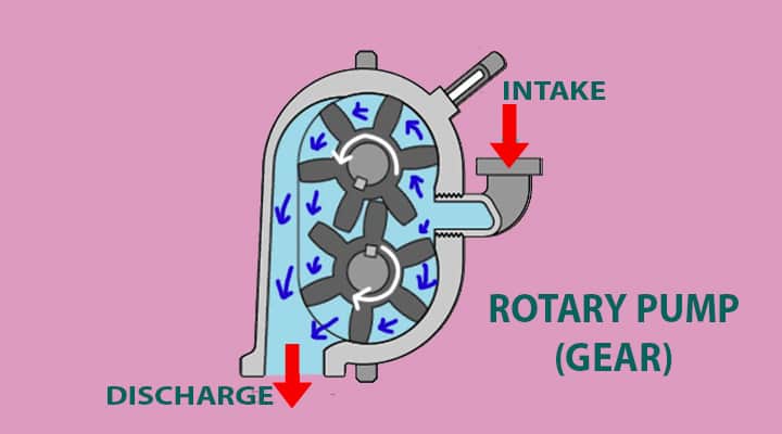 rotary gear pumps basics