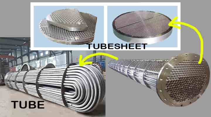 tube and tube sheets
