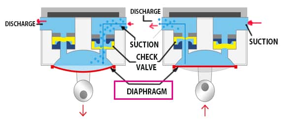 diaphragm pump reciprocating pumps type