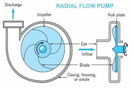 what basics radial flow pump