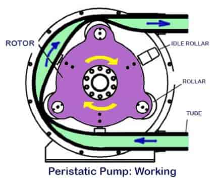 how does peristaltic pump work working procedure