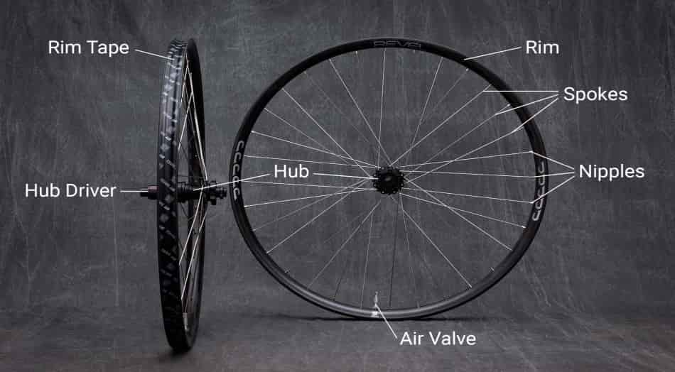 What are Bicycle Wheels? Explore Different Parts of a Bicycle Wheel